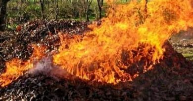 Вінничанам нагадують про заборону спалювання сухої рослинності