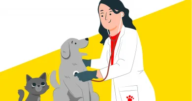 У приватному секторі Вінниці завершується кампанія з безкоштовної вакцинації домашніх тварин