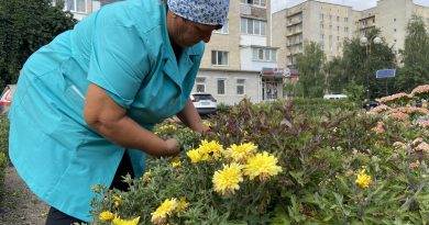 Як «Вінницязеленбуд» підтримує соціалізацію працівників з інвалідністю: деталі