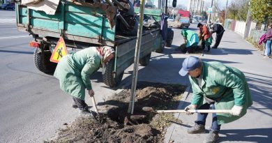 Громада розпочала сезон осіннього озеленення