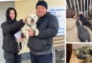 Вихованці муніципального притулку для тварин знаходять люблячих господарів
