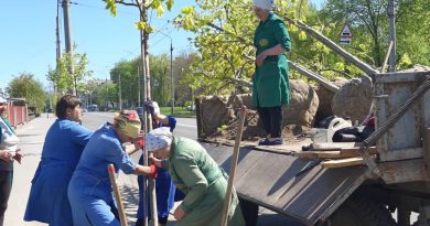 Весняна кампанія озеленення у Вінниці добігає кінця — висадили майже 250 саджанців