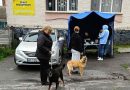 У приватному секторі Вінниці пройшло щеплення домашніх тварин