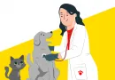 У приватному секторі Вінниці завершується кампанія з безкоштовної вакцинації домашніх тварин
