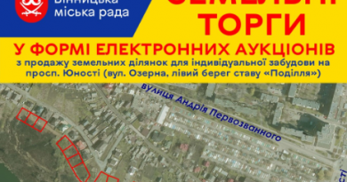 Земельні торги через «Прозорро.Продажі»: як взяти участь та зареєструватися