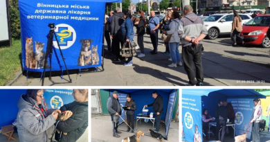 У приватному секторі Вінниці продовжується профілактична кампанія з вакцинації домашніх улюбленців проти сказу