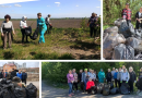 Підсумки весняного прибирання: як минула вінницька толока за участі органів самоорганізації населення