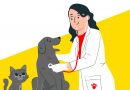 У Вінницьких Хуторах проводять безоплатну вакцинацію котів і собак від сказу
