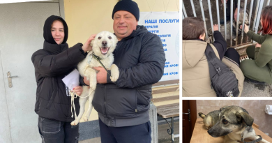 Вихованці муніципального притулку для тварин знаходять люблячих господарів