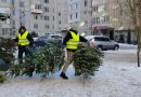 Продовжується вивезення новорічних ялинок із контейнерних майданчиків міста