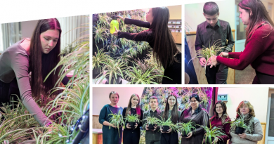 У їдальні ліцею №4 з’явилася зелена стіна, яку власноруч оформили діти