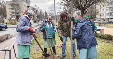 Проспект Космонавтів озеленили тюльпановими деревами та пекінським бузком