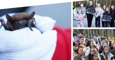 Реабілітованих узимку кажанів випустили на волю у Вінниці