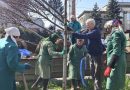 На Хмельницькому шосе триває висадка дерев у рамках весняного озеленення
