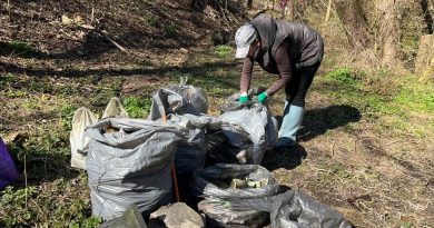 Річку Скельну у Вінниці очистили від десятків шин і мішків відходів