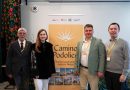 Вінниця стала майданчиком міжнародного форуму про українські маршрути Camino de Santiago