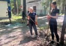 Толоку організували в оздоровчому таборі «ЯМаріуполь.Родина»
