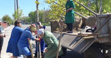 Весняна кампанія озеленення у Вінниці добігає кінця — висадили майже 250 саджанців