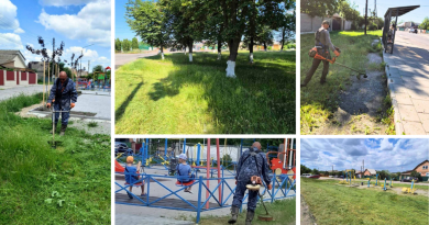 У Вінниці тривають роботи з покосу трави у приватному секторі