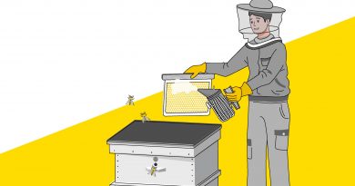 Вінницька міська рада й надалі сприяє розвитку бджільництва, надаючи підтримку місцевим пасічникам