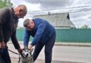 Домашніх улюбленців у старостинських округах громади безкоштовно щепили проти сказу