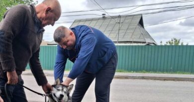 Домашніх улюбленців у старостинських округах громади безкоштовно щепили проти сказу