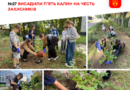 Ліцей №27 у Вінниці доповнив алею Пам'яті п'ятьма калинами — на ній тепер росте 29 кущів
