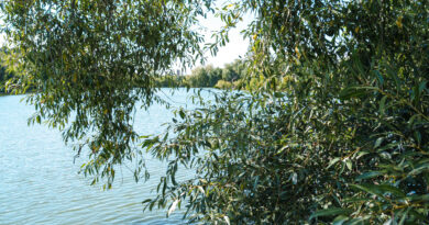 Три незаконні водостоки до Вишенського озера у Вінниці перекрили