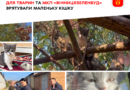 У Вінниці рятувальники з автовишкою зняли кошеня з верхівки дерева